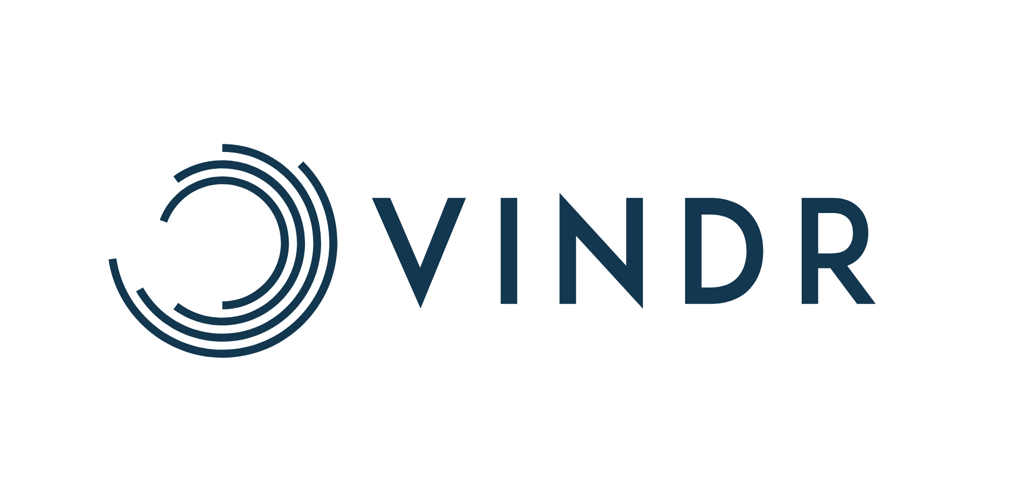 vindr-logo-blu-big-25672-png